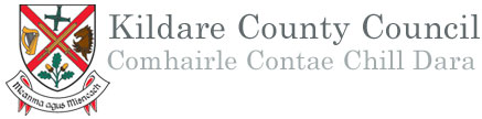 Kildare county council